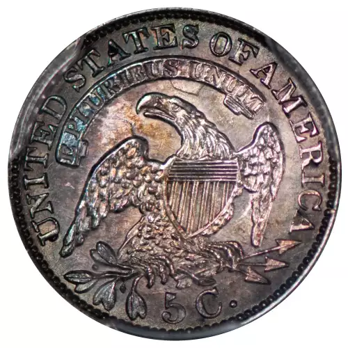 1831 H10C (4)