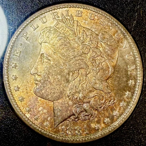 1881 GSA HOARD (2)