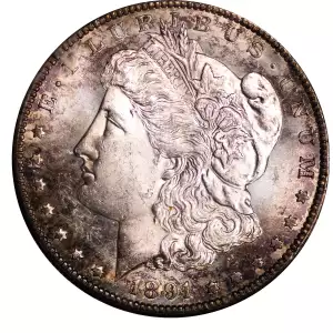 Morgan Silver Dollar (4)