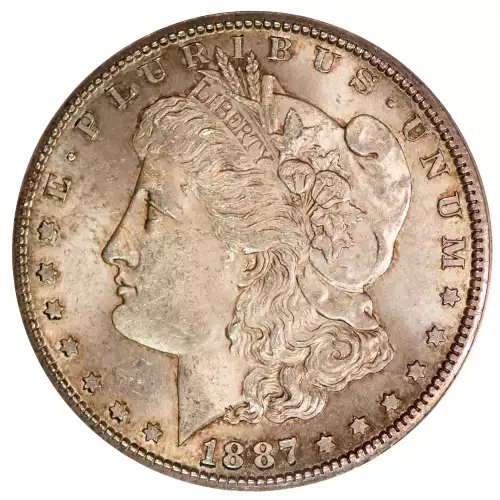 Morgan Silver Dollar (4)