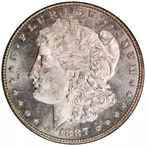 Morgan Silver Dollar (4)