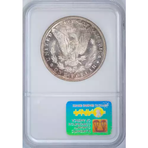 Morgan Silver Dollar (2)
