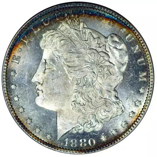 Morgan Silver Dollar (4)
