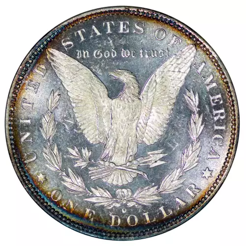 Morgan Silver Dollar (2)