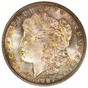 Morgan Silver Dollar (3)