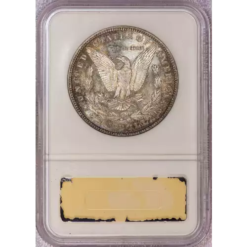 Morgan Silver Dollar (2)