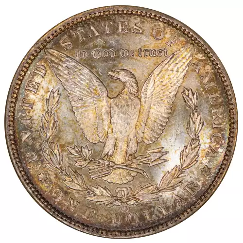 Morgan Silver Dollar (4)