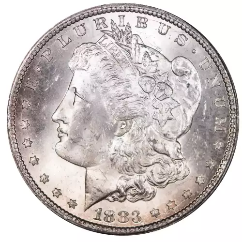 Morgan Silver Dollar (4)
