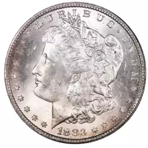Morgan Silver Dollar (4)